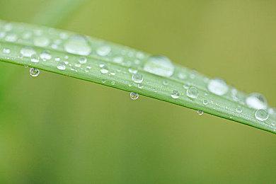 国产双主角冒险游戏《梦灯花》本月28日发售